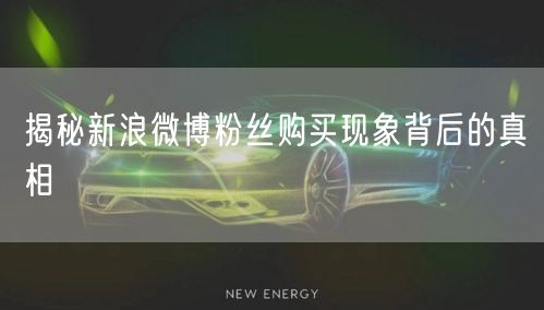 揭秘新浪微博粉丝购买现象背后的真相