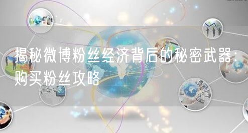 揭秘微博粉丝经济背后的秘密武器：购买粉丝攻略