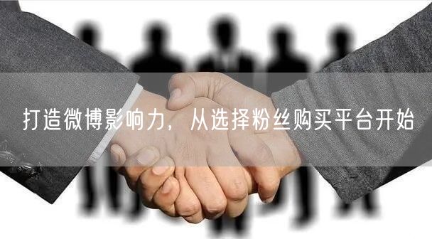 打造微博影响力，从选择粉丝购买平台开始