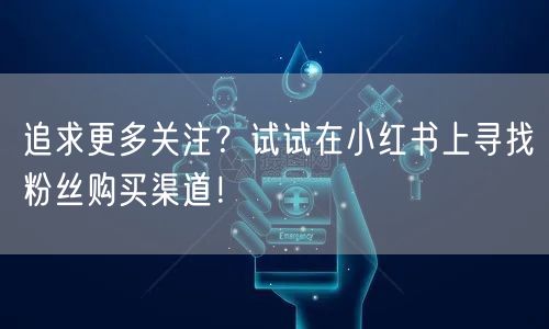 追求更多关注？试试在小红书上寻找粉丝购买渠道！