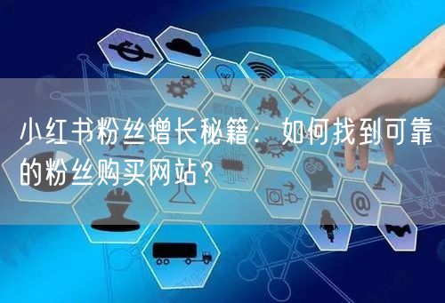 小红书粉丝增长秘籍：如何找到可靠的粉丝购买网站？