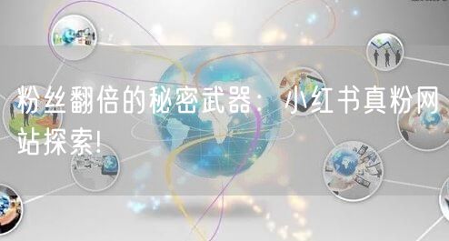 粉丝翻倍的秘密武器：小红书真粉网站探索!