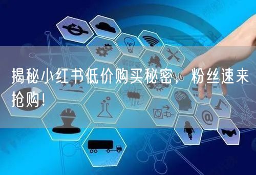 揭秘小红书低价购买秘密，粉丝速来抢购！
