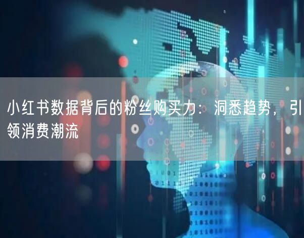 小红书数据背后的粉丝购买力：洞悉趋势，引领消费潮流