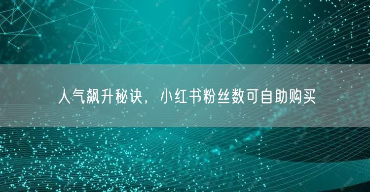 人气飙升秘诀，小红书粉丝数可自助购买