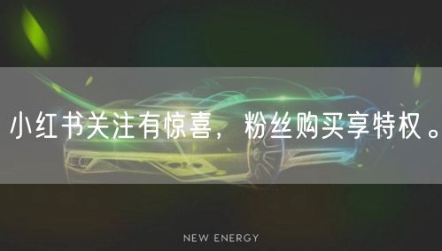 小红书关注有惊喜，粉丝购买享特权。