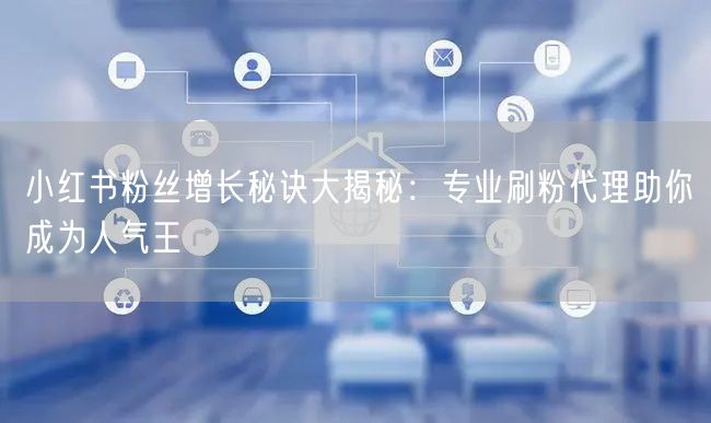 小红书粉丝增长秘诀大揭秘：专业刷粉代理助你成为人气王
