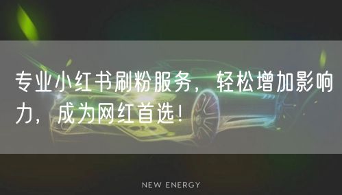 专业小红书刷粉服务，轻松增加影响力，成为网红首选！