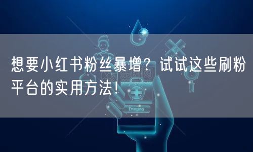 想要小红书粉丝暴增？试试这些刷粉平台的实用方法！
